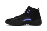  Air Jordan 12 Retro Dark Concord CT8013-005