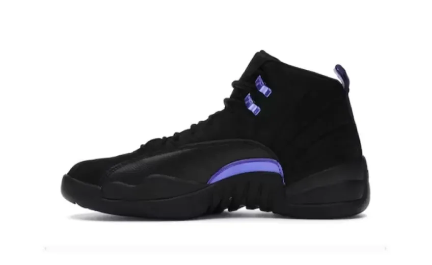  Air Jordan 12 Retro Dark Concord CT8013-005