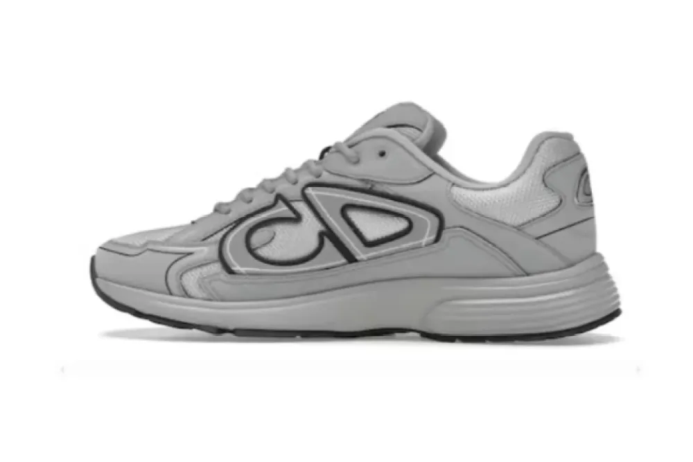 Dior B30 Gray 3SN279ZRD_H868
