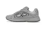 Dior B30 Gray 3SN279ZRD_H868