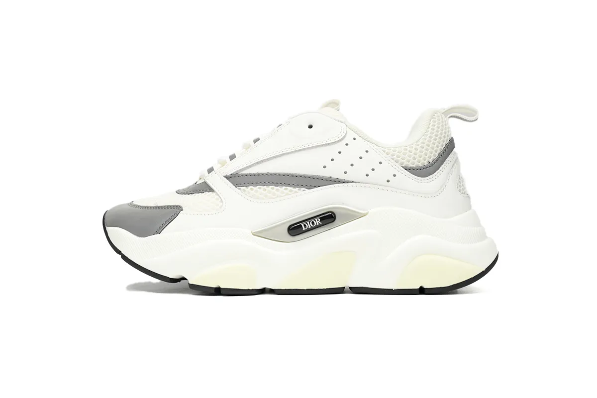 fake Dior B22 White Grey