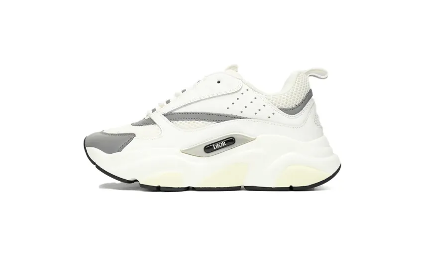fake Dior B22 White Grey