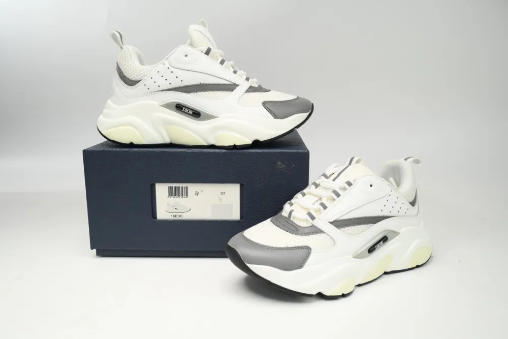 rep Dior B22 White Grey