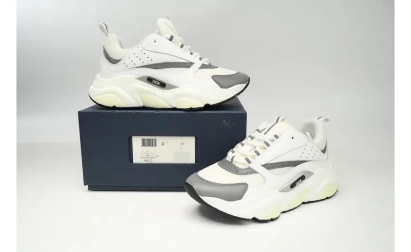 rep Dior B22 White Grey