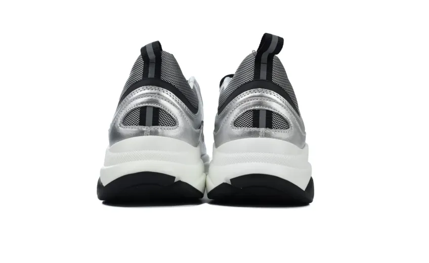 Dior B22 Silver Black reps