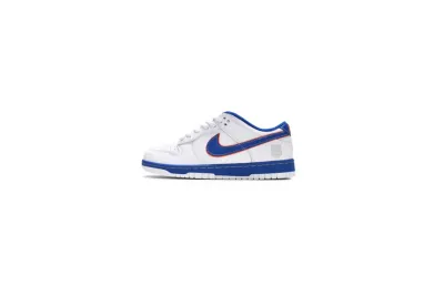 Nike Dunk Low Pro SB Medicom 304292-142 01