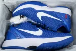 zoom kobe 6 reps 
