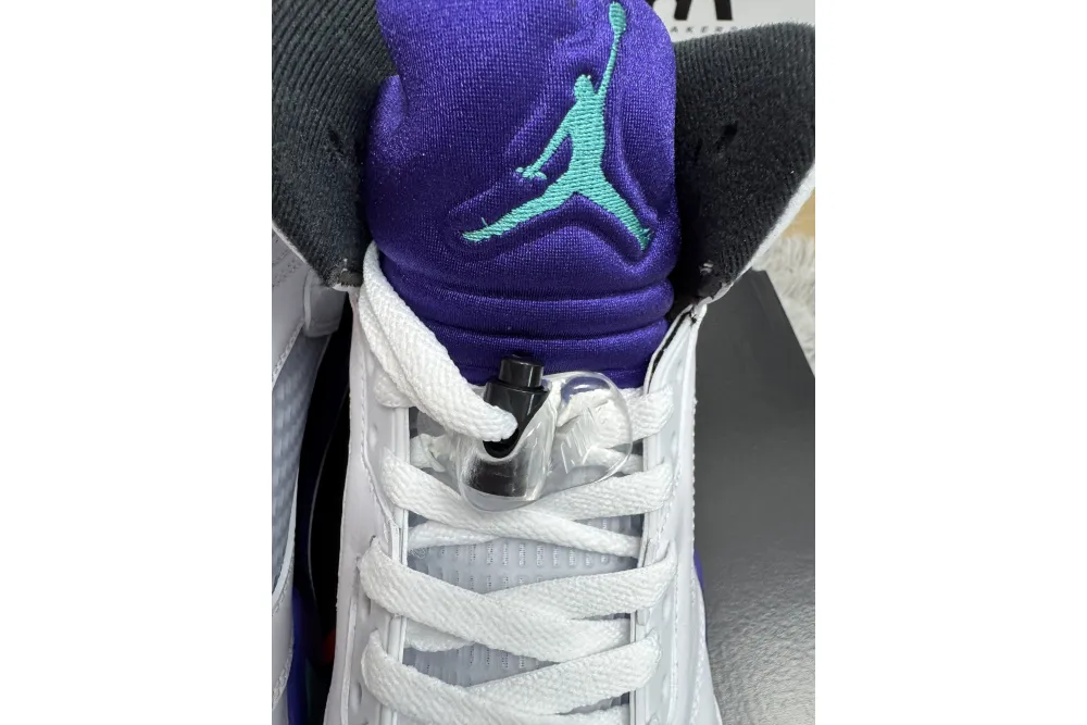 Jordan 5 Retro Grape 2025 HQ7978-100