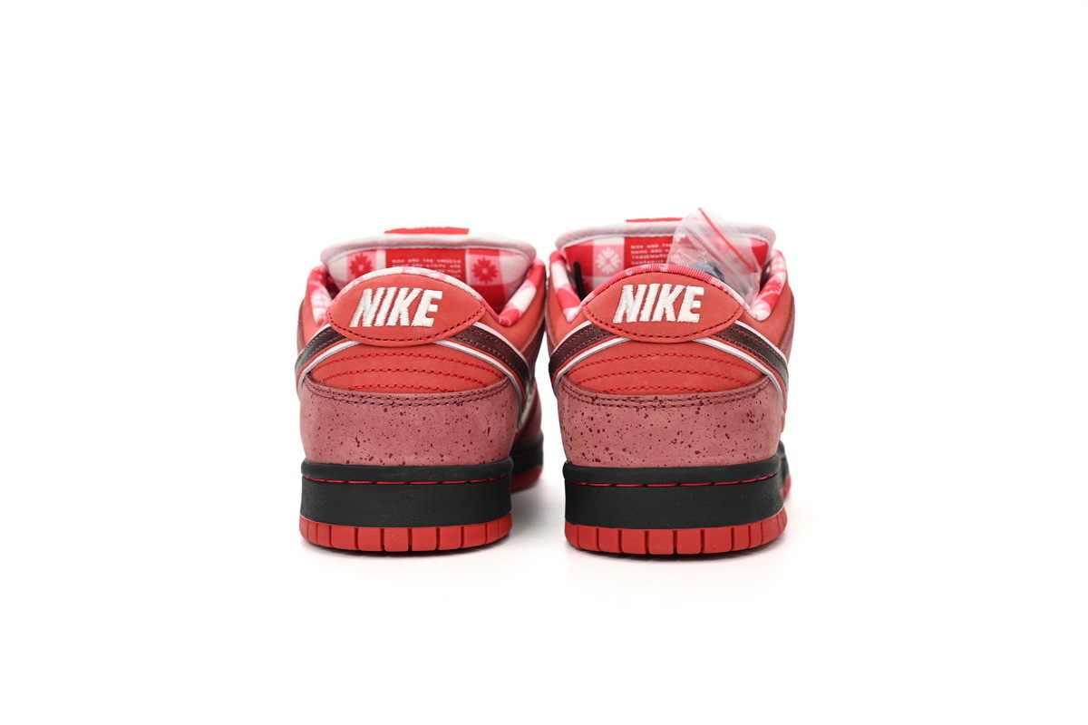 Nike SB Dunk Low Concepts Red Lobster 313170-661