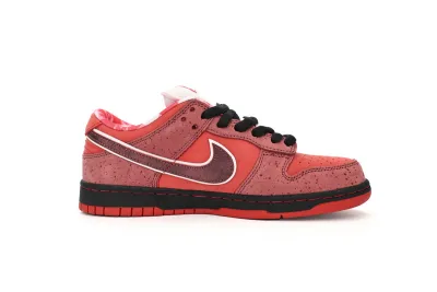 Nike SB Dunk Low Concepts Red Lobster 313170-661 02