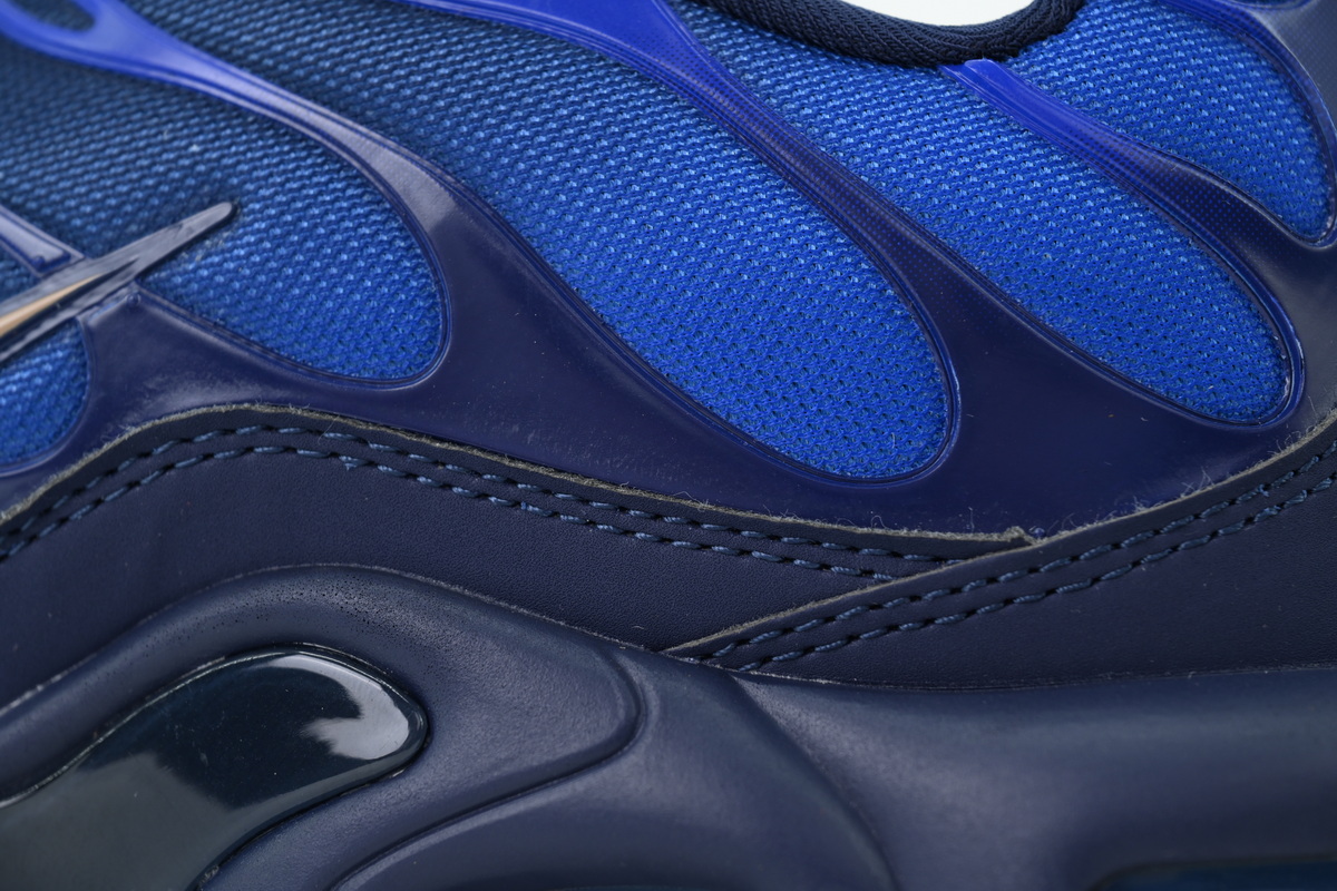 Nike TN Plus French Football Federation