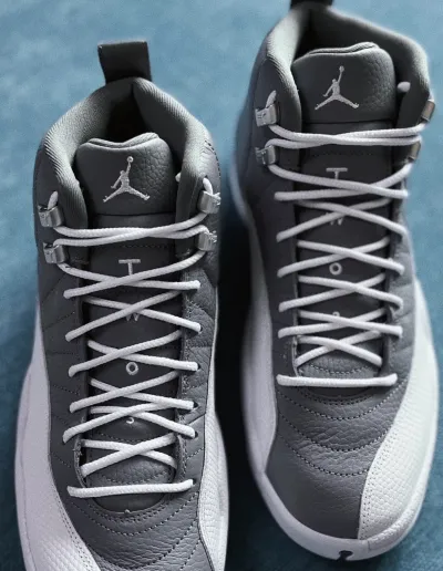 Jordan 12 Retro Stealth CT8013-015 review Hay 00