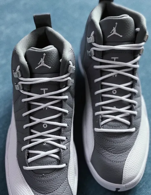 Jordan 12 Retro Stealth CT8013-015 review 