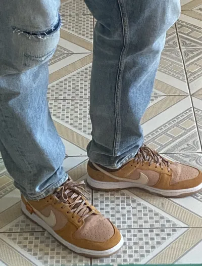 Nike Dunk Low SE Teddy Bear Praline DZ5350-288 review Mike 01