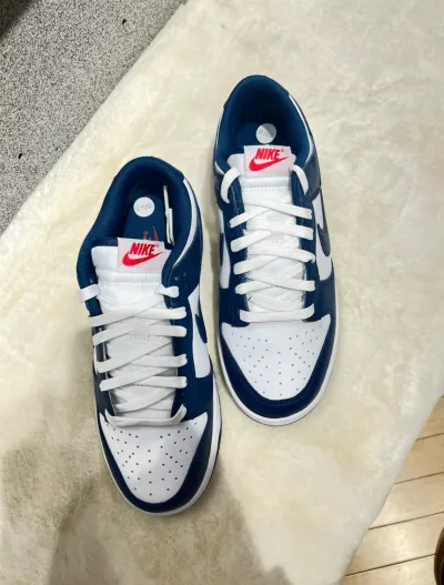 Nike Dunk Low Valerian Blue DD1391-400 review Elena 00