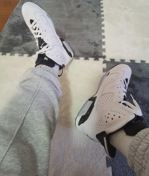 Jordan 6 Retro Reverse Oreo CT8529-112 review 