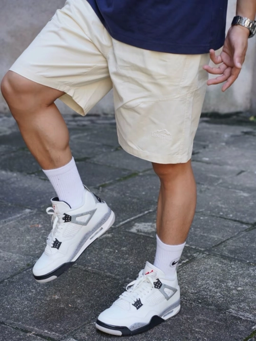 Air Jordan 4 Retro White Cement 2025  FV5029-100 review 