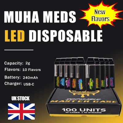 UK Stock Light Up Muha 2G Fresh Flavors Disposable 01