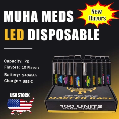 USA Stock Light Up Muha 2G Fresh Flavors Disposable 01