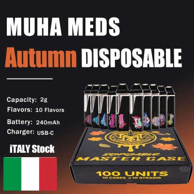 Italy Stock Muha Meds Fall Edition 2g Autumn Disposable 01