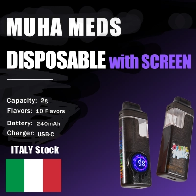 Italy Empty Muha Meds 2g Disposable With Screen 01