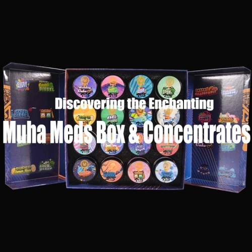 Discovering the Enchanting Muha Meds Box & Concentrates: A Vaper's Oasis