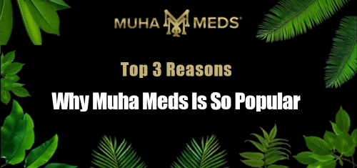 Top 3 Reasons Why Muha Meds Is So Popular