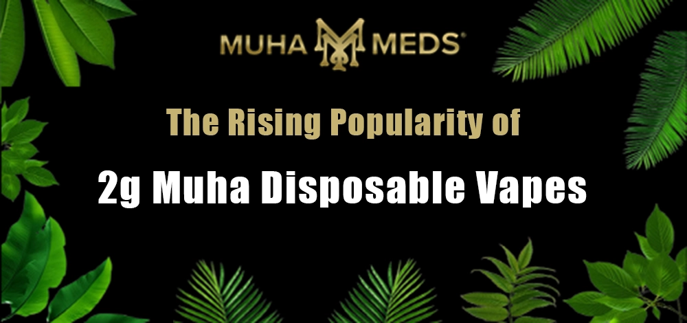 The Rising Popularity of 2g Muha Disposable Vapes