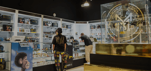 The Ultimate Guide for Muha Meds Retailers and Distributors