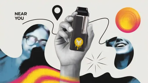 2g dispo muha near you for happy vaping