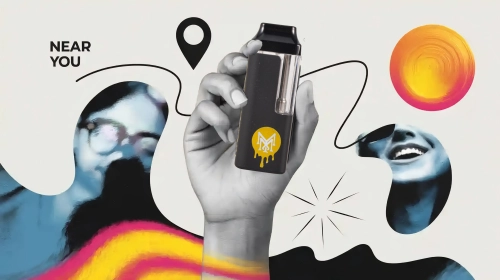 2g dispo muha near you for happy vaping