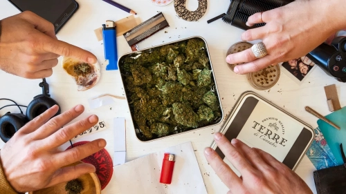 How to Buy Muha Meds Bulk Safely Online