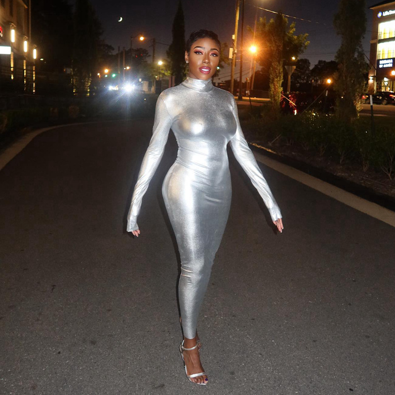 High Neck Long Sleeved Hip Hugging Mid Length Dress