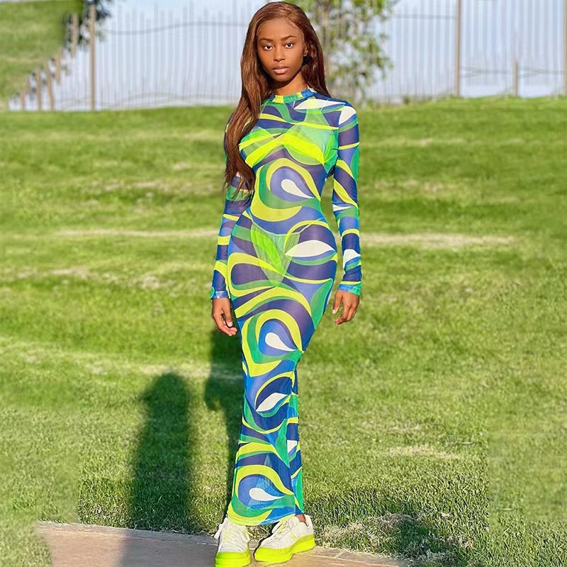 Casual Mesh Printed Long Sleeved Round Neck Slim Fit Dress