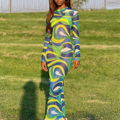 Casual Mesh Printed Long Sleeved Round Neck Slim Fit Dress 02