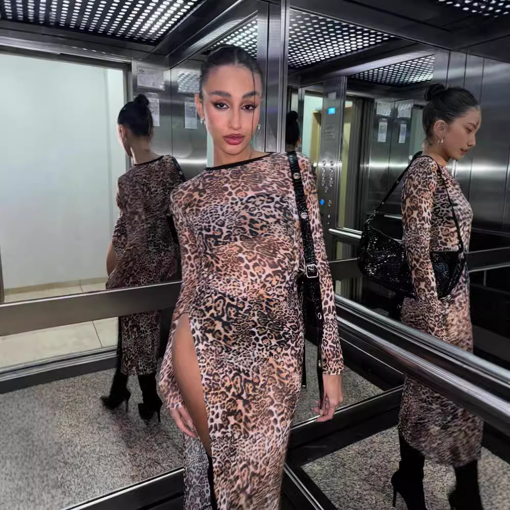 Round Neck Long Sleeved Mesh Printed Slit Dress