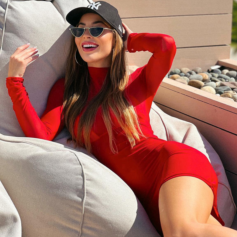 Sexy High Elasticity Silky Long Sleeved Dress