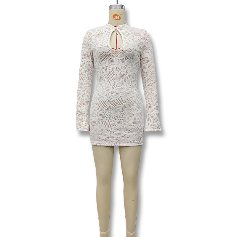 Winter New Arrival Women's Sexy Lace Bodycon Dress