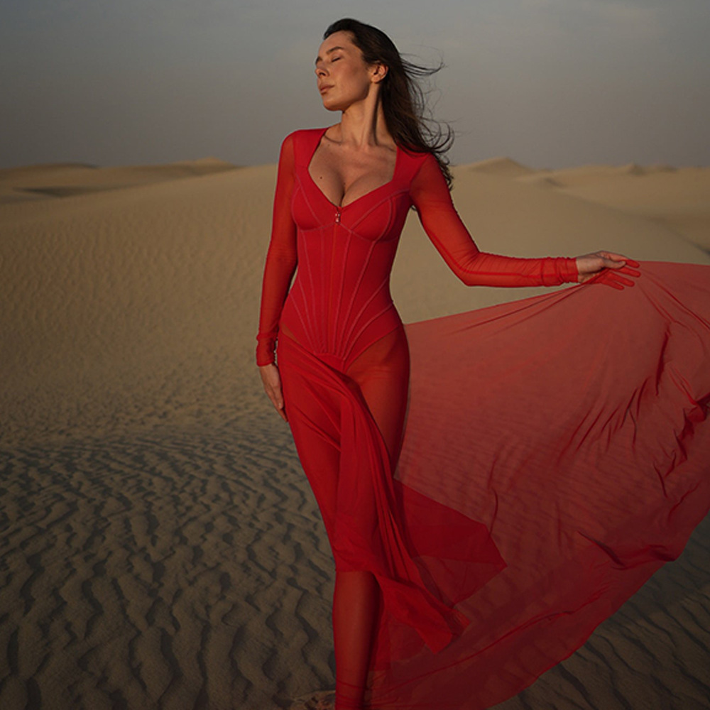 Designsoo Sexy Fitted Long Sleeve Mesh Sheer V-Neck Jumpsuit