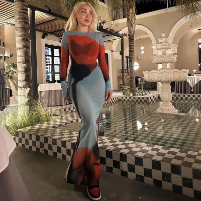 Designsoo Printed Round Neck Dress - Fashionable and Sexy Tulle Sheer High Slit Maxi Dress 01