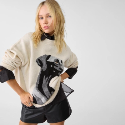 Designsoo Personalized Doberman Pattern Jacquard Oversized Sweater for Women – Casual Knit Pullover 02