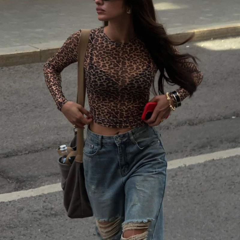 Sheer Leopard Print Long Sleeve Crop Top – Sexy & Trendy Mesh Blouse