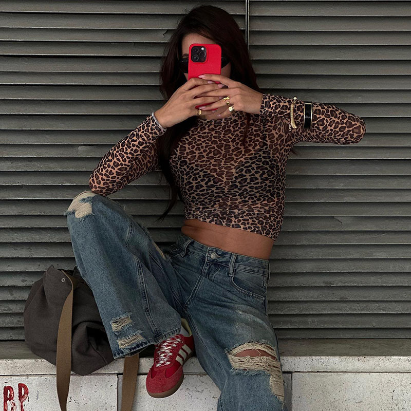 Sheer Leopard Print Long Sleeve Crop Top – Sexy & Trendy Mesh Blouse