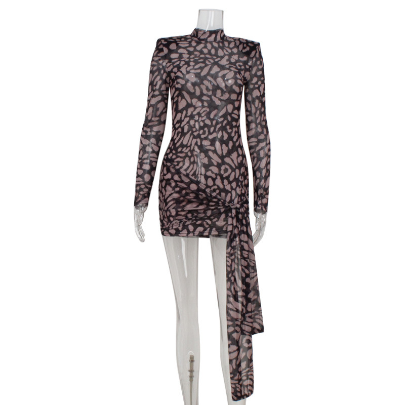 Sexy Leopard Print Sheer Mesh Bodycon Dress with Tie Waist – Trendy Clubwear