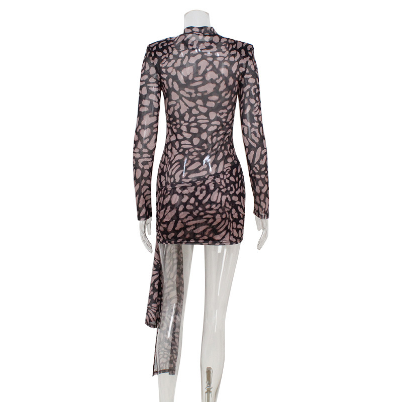 Sexy Leopard Print Sheer Mesh Bodycon Dress with Tie Waist – Trendy Clubwear