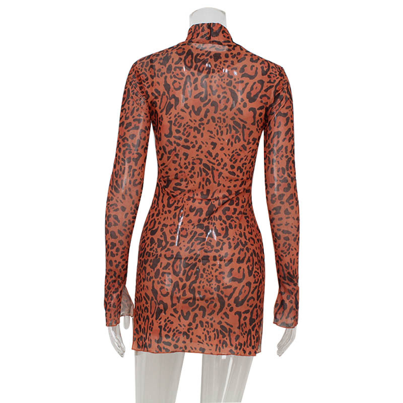 Sexy Leopard Print Mesh Long Sleeve Crop Top & Bodycon Mini Skirt Set – Trendy Outfit for Women, Perfect for Club, Party & Night Out