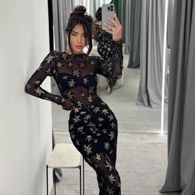 Breathable Lace Mesh Sexy Trendy Long Sleeve Bodycon Midi Dress – Seductive & Fashion-Forward Outfit for Club, Party & Streetwear 02