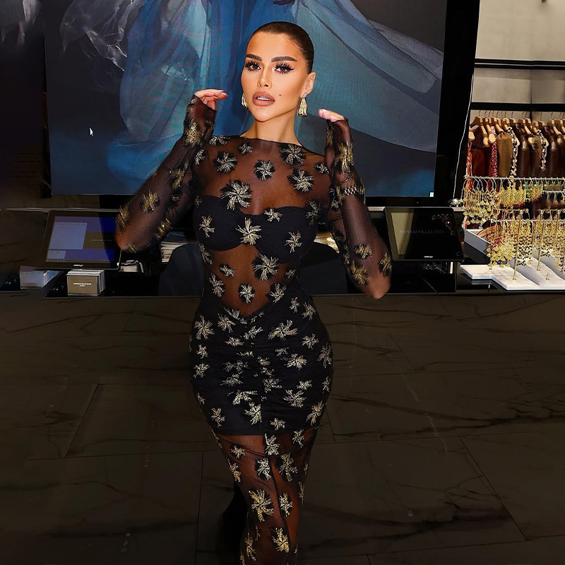 Breathable Lace Mesh Sexy Trendy Long Sleeve Bodycon Midi Dress – Seductive & Fashion-Forward Outfit for Club, Party & Streetwear