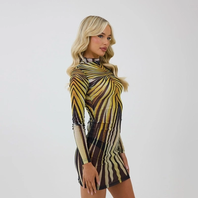 Vintage Print Round Neck Long Sleeve Sheer Mesh Overlay Top & Fitted Slip Dress Set – Stylish Layered Look for Everyday, Streetwear & Date Outings 02