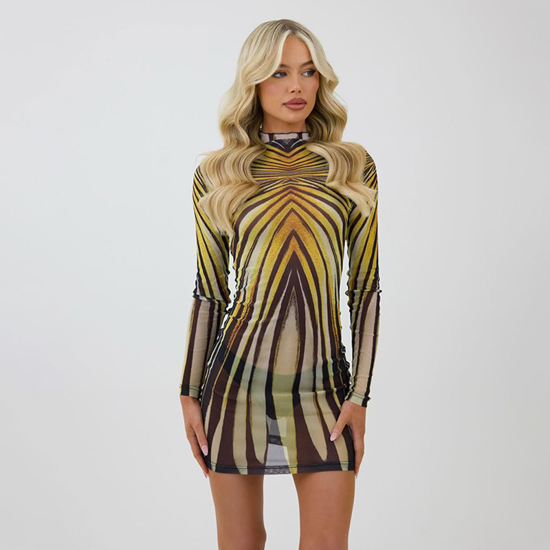 Vintage Print Round Neck Long Sleeve Sheer Mesh Overlay Top & Fitted Slip Dress Set – Stylish Layered Look for Everyday, Streetwear & Date Outings